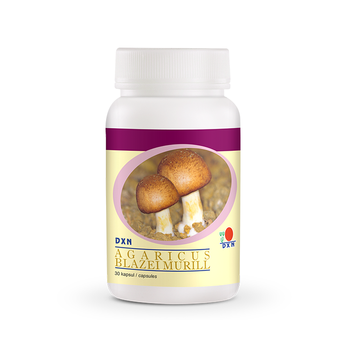 DXN AGARICUS BLAZEI MURILL 30 capsule