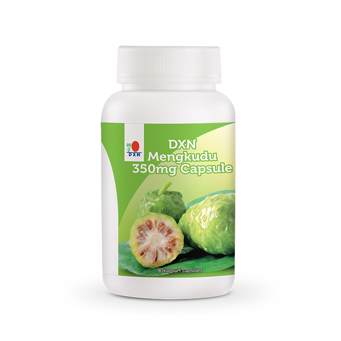 DXN MENGKUDU 90 capsule